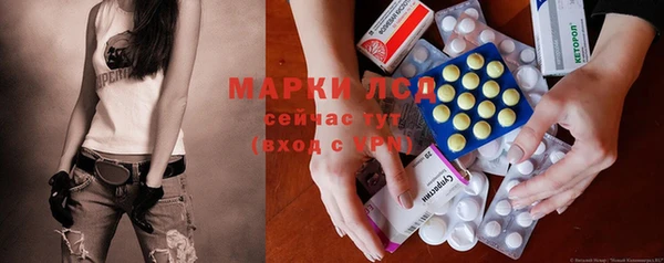 шишки Арсеньев