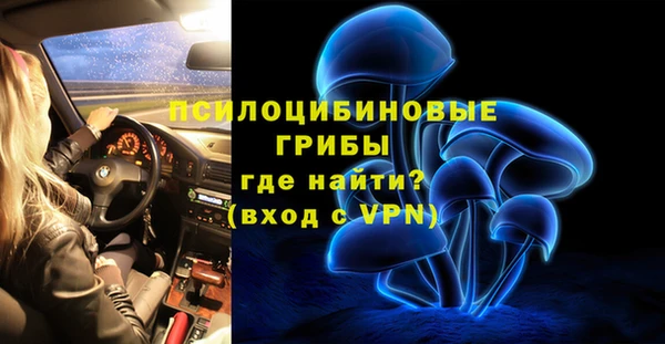 ешки Алзамай